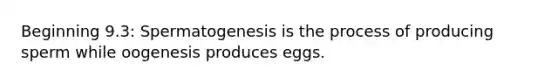 Beginning 9.3: Spermatogenesis is the process of producing sperm while oogenesis produces eggs.