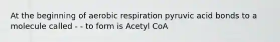 At the beginning of aerobic respiration pyruvic acid bonds to a molecule called - - to form is Acetyl CoA