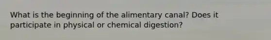 What is the beginning of the alimentary canal? Does it participate in physical or chemical digestion?