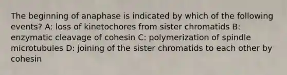 The beginning of anaphase is indicated by which of the following events? A: loss of kinetochores from sister chromatids B: enzymatic cleavage of cohesin C: polymerization of spindle microtubules D: joining of the sister chromatids to each other by cohesin