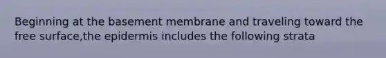 Beginning at the basement membrane and traveling toward the free surface,the epidermis includes the following strata