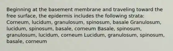 Beginning at the basement membrane and traveling toward the free surface, the epidermis includes the following strata: Corneum, lucidum, granulosum, spinosum, basale Granulosum, lucidum, spinosum, basale, corneum Basale, spinosum, granulosum, lucidum, corneum Lucidum, granulosum, spinosum, basale, corneum