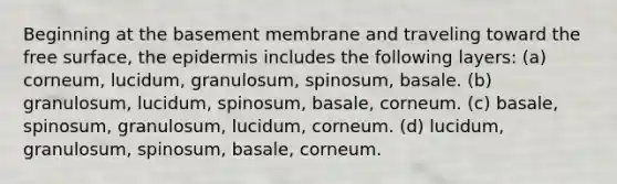 Beginning at the basement membrane and traveling toward the free surface, the epidermis includes the following layers: (a) corneum, lucidum, granulosum, spinosum, basale. (b) granulosum, lucidum, spinosum, basale, corneum. (c) basale, spinosum, granulosum, lucidum, corneum. (d) lucidum, granulosum, spinosum, basale, corneum.