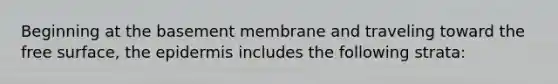 Beginning at the basement membrane and traveling toward the free surface, the epidermis includes the following strata: