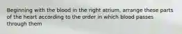 Beginning with the blood in the right atrium, arrange these parts of the heart according to the order in which blood passes through them