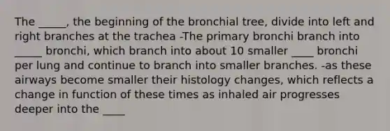 The _____, the beginning of the bronchial tree, divide into left and right branches at the trachea -The primary bronchi branch into _____ bronchi, which branch into about 10 smaller ____ bronchi per lung and continue to branch into smaller branches. -as these airways become smaller their histology changes, which reflects a change in function of these times as inhaled air progresses deeper into the ____