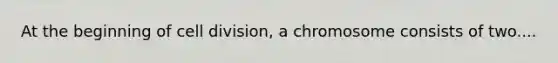 At the beginning of cell division, a chromosome consists of two....