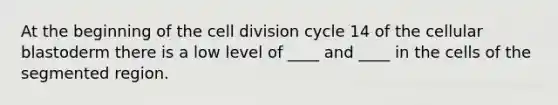 At the beginning of the cell division cycle 14 of the cellular blastoderm there is a low level of ____ and ____ in the cells of the segmented region.