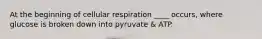 At the beginning of cellular respiration ____ occurs, where glucose is broken down into pyruvate & ATP.