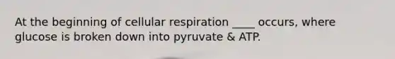 At the beginning of cellular respiration ____ occurs, where glucose is broken down into pyruvate & ATP.