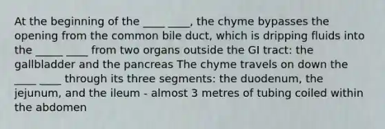 At the beginning of the ____ ____, the chyme bypasses the opening from the common bile duct, which is dripping fluids into the _____ ____ from two organs outside the GI tract: the gallbladder and the pancreas The chyme travels on down the ____ ____ through its three segments: the duodenum, the jejunum, and the ileum - almost 3 metres of tubing coiled within the abdomen