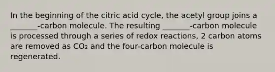 In the beginning of the citric acid cycle, the acetyl group joins a _______-carbon molecule. The resulting _______-carbon molecule is processed through a series of redox reactions, 2 carbon atoms are removed as CO₂ and the four-carbon molecule is regenerated.