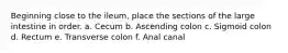 Beginning close to the ileum, place the sections of the large intestine in order. a. Cecum b. Ascending colon c. Sigmoid colon d. Rectum e. Transverse colon f. Anal canal