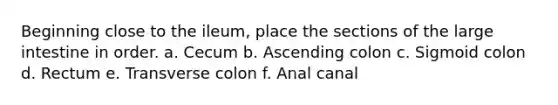 Beginning close to the ileum, place the sections of the large intestine in order. a. Cecum b. Ascending colon c. Sigmoid colon d. Rectum e. Transverse colon f. Anal canal