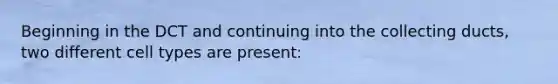 Beginning in the DCT and continuing into the collecting ducts, two different cell types are present: