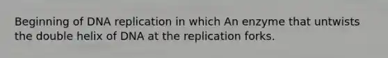 Beginning of DNA replication in which An enzyme that untwists the double helix of DNA at the replication forks.