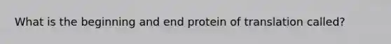 What is the beginning and end protein of translation called?