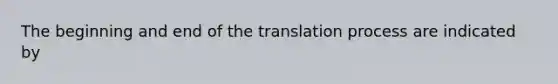 The beginning and end of the translation process are indicated by