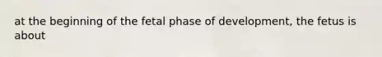 at the beginning of the fetal phase of development, the fetus is about