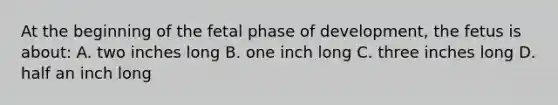 At the beginning of the fetal phase of development, the fetus is about: A. two inches long B. one inch long C. three inches long D. half an inch long