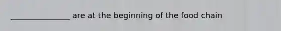 _______________ are at the beginning of the food chain