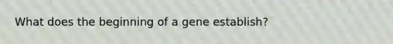 What does the beginning of a gene establish?