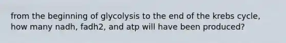 from the beginning of glycolysis to the end of the krebs cycle, how many nadh, fadh2, and atp will have been produced?