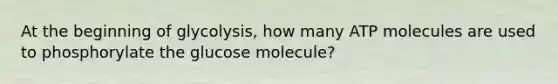 At the beginning of glycolysis, how many ATP molecules are used to phosphorylate the glucose molecule?