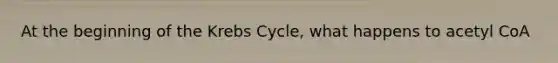 At the beginning of the Krebs Cycle, what happens to acetyl CoA