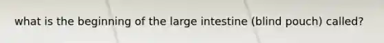 what is the beginning of the <a href='https://www.questionai.com/knowledge/kGQjby07OK-large-intestine' class='anchor-knowledge'>large intestine</a> (blind pouch) called?