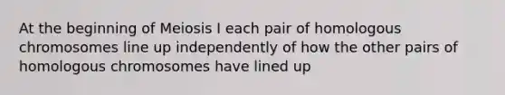 At the beginning of Meiosis I each pair of homologous chromosomes line up independently of how the other pairs of homologous chromosomes have lined up