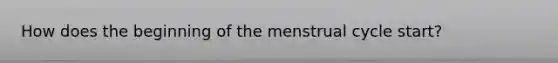 How does the beginning of the menstrual cycle start?