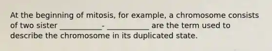 At the beginning of mitosis, for example, a chromosome consists of two sister ___________- ___________ are the term used to describe the chromosome in its duplicated state.