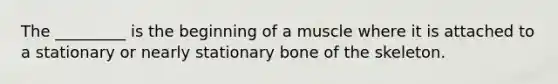 The _________ is the beginning of a muscle where it is attached to a stationary or nearly stationary bone of the skeleton.