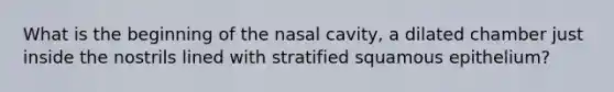 What is the beginning of the nasal cavity, a dilated chamber just inside the nostrils lined with stratified squamous epithelium?