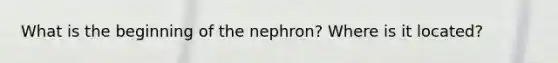 What is the beginning of the nephron? Where is it located?