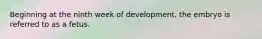 Beginning at the ninth week of development, the embryo is referred to as a fetus.