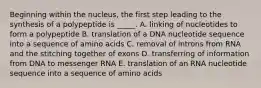 Beginning within the nucleus, the first step leading to the synthesis of a polypeptide is _____. A. linking of nucleotides to form a polypeptide B. translation of a DNA nucleotide sequence into a sequence of amino acids C. removal of introns from RNA and the stitching together of exons D. transferring of information from DNA to messenger RNA E. translation of an RNA nucleotide sequence into a sequence of amino acids