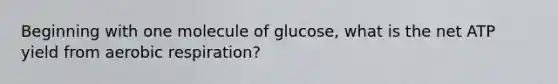 Beginning with one molecule of glucose, what is the net ATP yield from aerobic respiration?