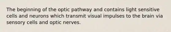 The beginning of the optic pathway and contains light sensitive cells and neurons which transmit visual impulses to the brain via sensory cells and optic nerves.