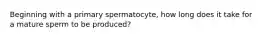 Beginning with a primary spermatocyte, how long does it take for a mature sperm to be produced?