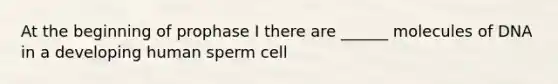 At the beginning of prophase I there are ______ molecules of DNA in a developing human sperm cell