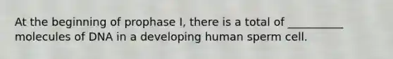 At the beginning of prophase I, there is a total of __________ molecules of DNA in a developing human sperm cell.
