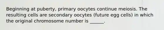 Beginning at puberty, primary oocytes continue meiosis. The resulting cells are secondary oocytes (future egg cells) in which the original chromosome number is ______.