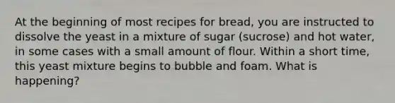 At the beginning of most recipes for bread, you are instructed to dissolve the yeast in a mixture of sugar (sucrose) and hot water, in some cases with a small amount of flour. Within a short time, this yeast mixture begins to bubble and foam. What is happening?