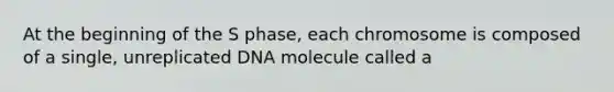 At the beginning of the S phase, each chromosome is composed of a single, unreplicated DNA molecule called a