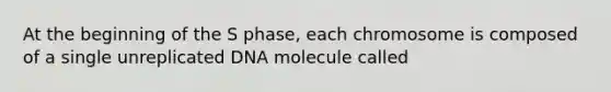 At the beginning of the S phase, each chromosome is composed of a single unreplicated DNA molecule called