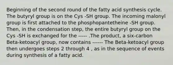 Beginning of the second round of the fatty acid synthesis cycle. The butyryl group is on the Cys -SH group. The incoming malonyl group is first attached to the phosphopantetheine -SH group. Then, in the condensation step, the entire butyryl group on the Cys -SH is exchanged for the ----- .The product, a six-carbon Beta-ketoacyl group, now contains ------ The Beta-ketoacyl group then undergoes steps 2 through 4 , as in the sequence of events during synthesis of a fatty acid.