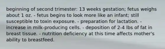 beginning of second trimester: 13 weeks gestation; fetus weighs about 1 oz. - fetus begins to look more like an infant; still susceptible to toxin exposure. - preparation for lactation. - increase in milk-producing cells. - deposition of 2-4 lbs of fat in breast tissue. - nutrition deficiency at this time affects mother's ability to breastfeed.