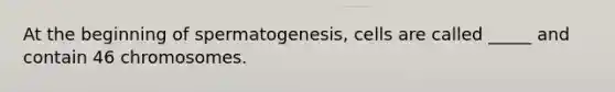 At the beginning of spermatogenesis, cells are called _____ and contain 46 chromosomes.